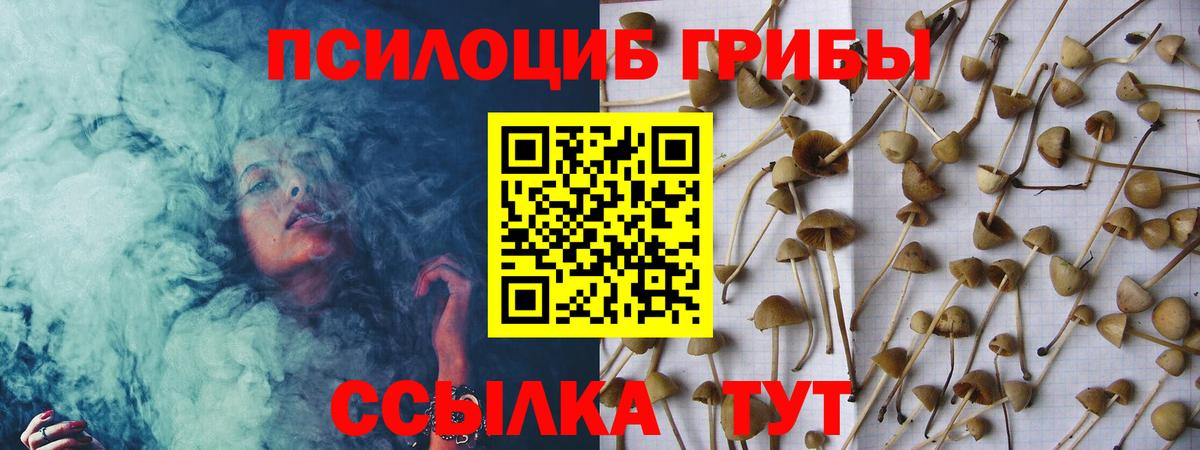 Галлюциногенные грибы Magic Shrooms  Вход с VPN  Кропоткин 
